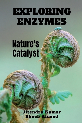 Exploring Enzymes