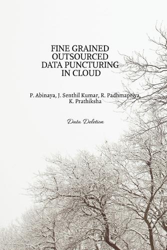 Fine Grained Outsourced Data Puncturing in Cloud