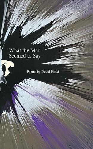 What the Man Seemed to Say