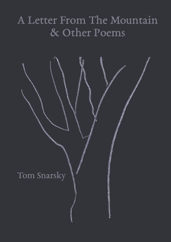 A Letter From The Mountain & Other Poems