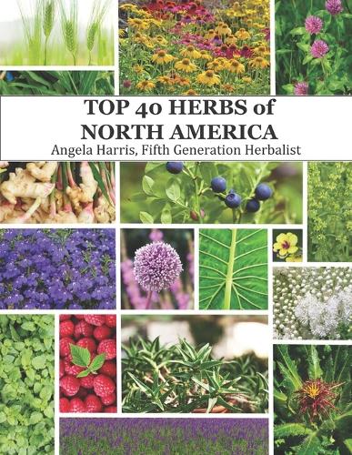 The Top 40 Herbs of North America