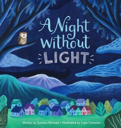 A Night Without Light