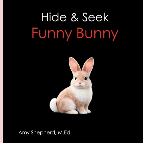 Hide & Seek Funny Bunny