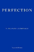 Perfection by Vincenzo Latronico