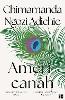 Americanah
