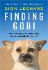 Finding Gobi (Main edition)