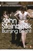 Burning Bright