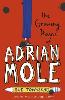 The Growing Pains of Adrian Mole