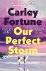 Our Perfect Storm