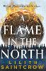 A Flame in the North