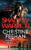 Shadow Warrior