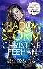 Shadow Storm