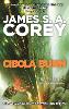 Cibola Burn