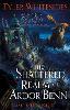 The Shattered Realm of Ardor Benn
