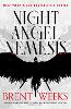 Night Angel Nemesis