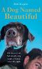 A Dog Named Beautiful