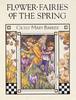Flower Fairies of the Spring