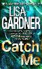 Catch Me (Detective D.D. Warren 6)