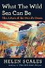 What the Wild Sea Can Be