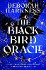 The Black Bird Oracle