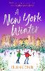 A New York Winter