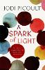A Spark of Light