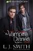 The Vampire Diaries: Nightfall