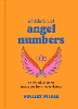 A Little Bit of Angel Numbers