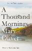 A Thousand Mornings