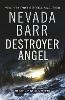 Destroyer Angel (Anna Pigeon Mysteries, Book 18)