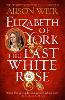 Elizabeth of York: The Last White Rose