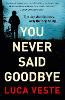 You Never Said Goodbye
