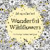 Wonderful Wildflowers