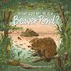 What Goes on inside a Beaver Pond?