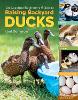 An Absolute Beginner's Guide to Raising Backyard Ducks