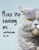 Please Stop Touching Me ... and Other Haikus by Cats
