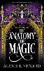 The Anatomy of Magic