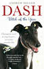 Dash