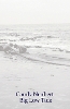 Big Low Tide