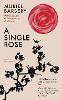 A Single Rose