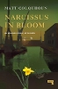 Narcissus in Bloom