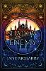 The Shadow Enemy