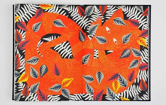 The Fox and the Star