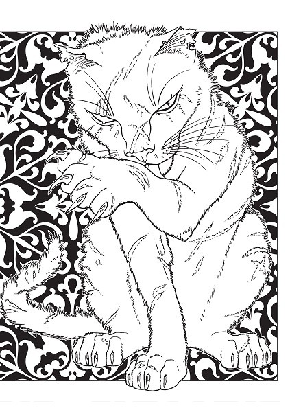Terry Pratchett's Discworld Colouring Book