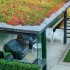 RHS The Urban Gardener