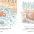 Frog and Beaver