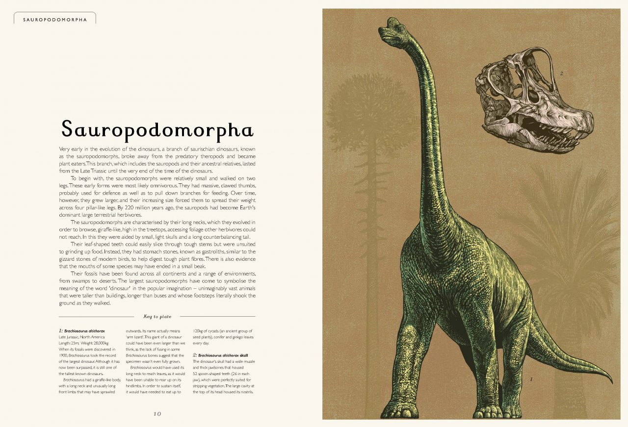 Dinosaurium