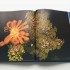 Blue Planet II
