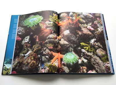 Blue Planet II