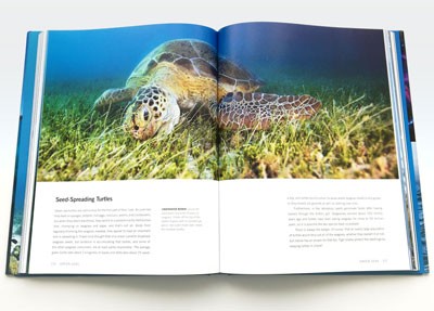 Blue Planet II